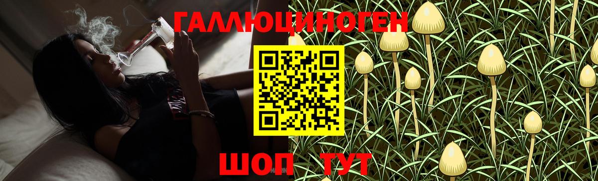 Псилоцибиновые грибы Cubensis  где можно купить наркотик  Нефтекумск  Вход с VPN 